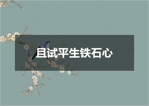 且试平生铁石心