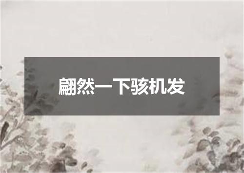 翩然一下骇机发