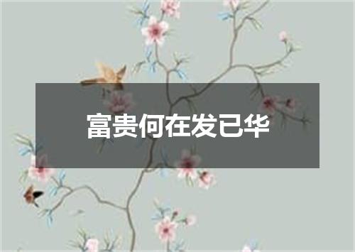 富贵何在发已华