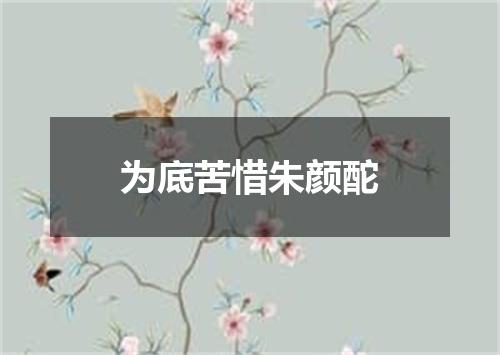 为底苦惜朱颜酡