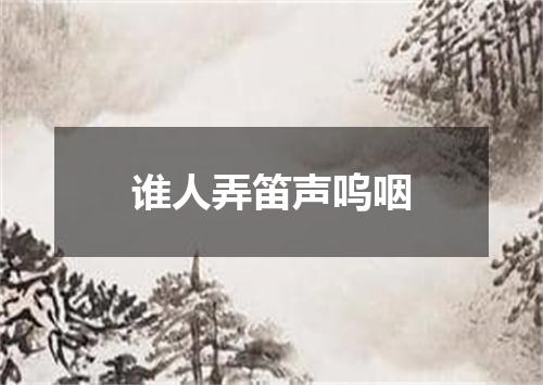 谁人弄笛声呜咽