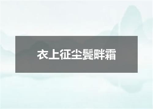 衣上征尘鬓畔霜