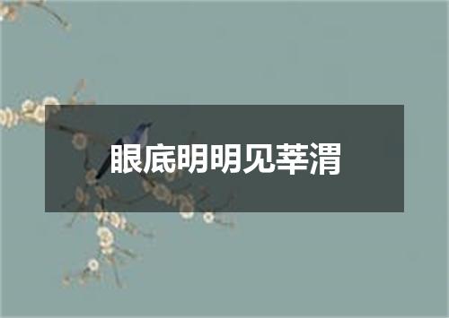 眼底明明见莘渭