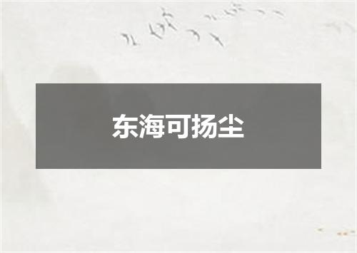 东海可扬尘