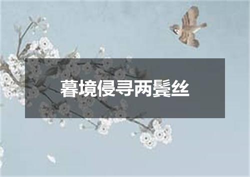 暮境侵寻两鬓丝