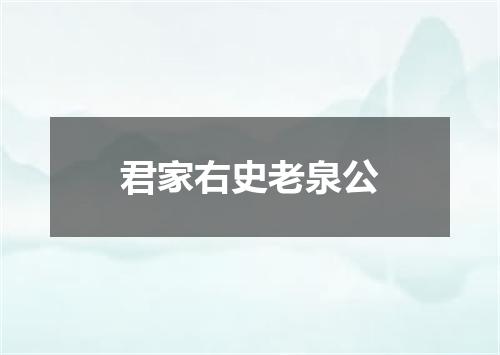 君家右史老泉公