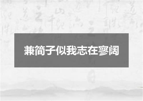 兼简子似我志在寥阔