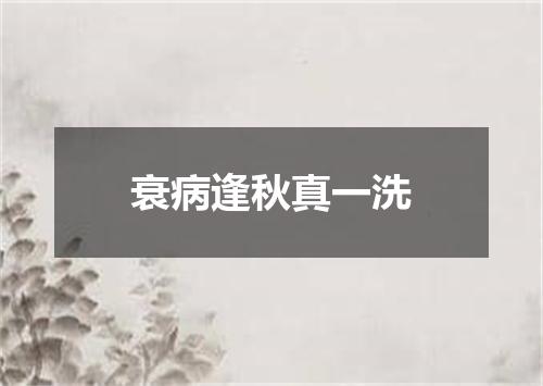 衰病逢秋真一洗