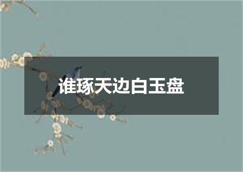 谁琢天边白玉盘