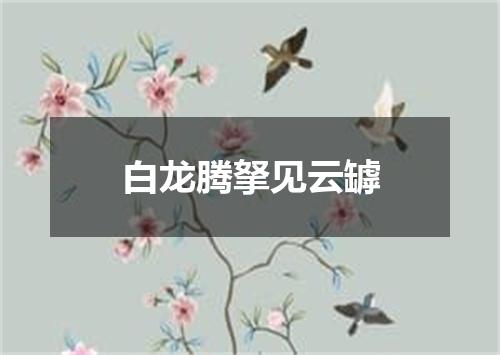 白龙腾拏见云罅