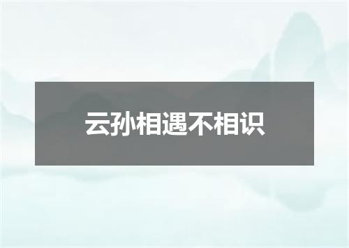 云孙相遇不相识