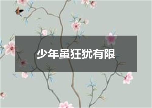 少年虽狂犹有限