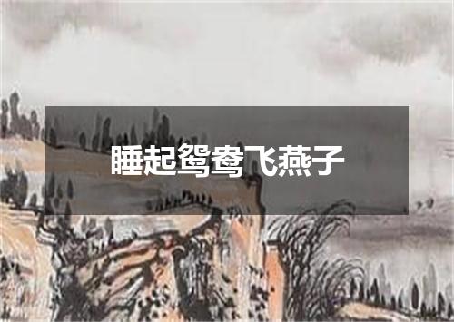 睡起鸳鸯飞燕子