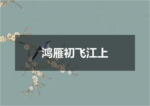 鸿雁初飞江上