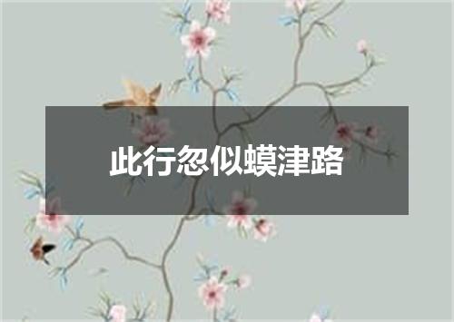 此行忽似蟆津路