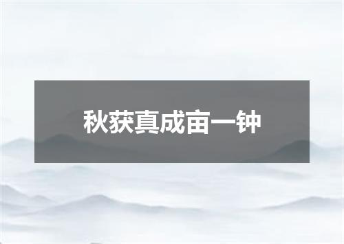 秋获真成亩一钟