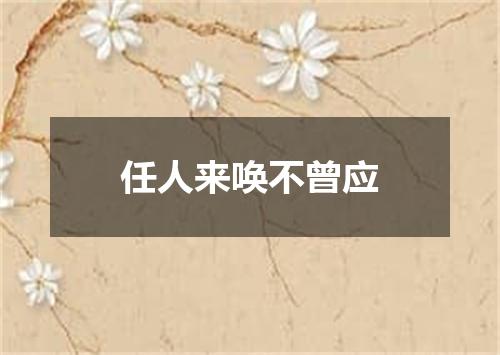 任人来唤不曾应