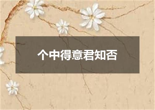 个中得意君知否