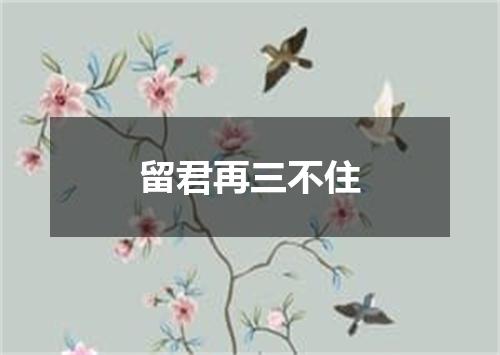 留君再三不住