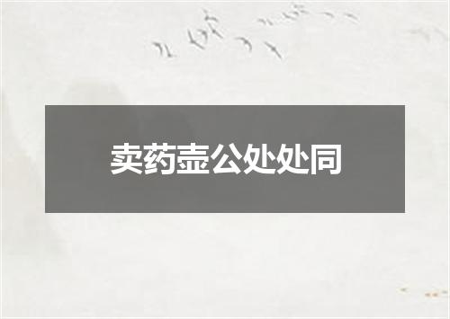 卖药壶公处处同