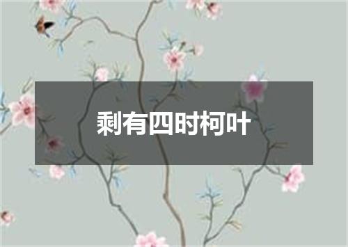 剩有四时柯叶