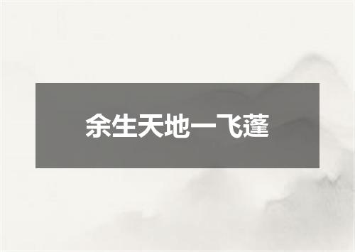 余生天地一飞蓬