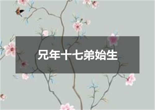 兄年十七弟始生