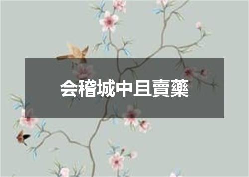 会稽城中且賣藥