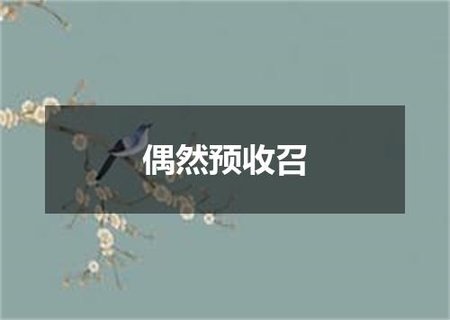 偶然预收召