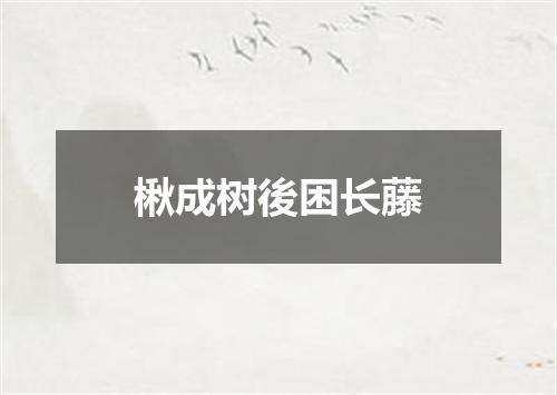 楸成树後困长藤