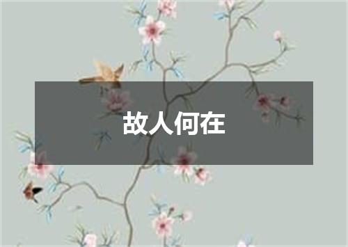故人何在