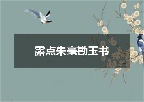 露点朱毫勘玉书