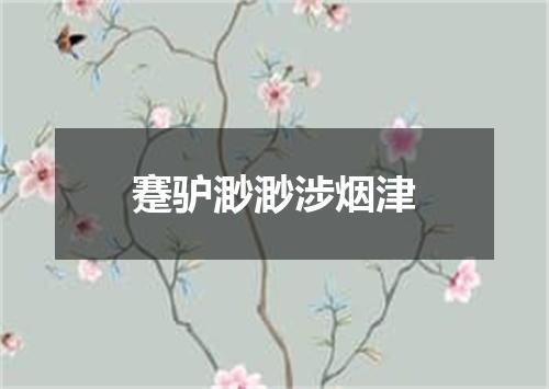 蹇驴渺渺涉烟津