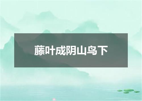 藤叶成阴山鸟下