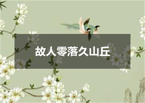 故人零落久山丘