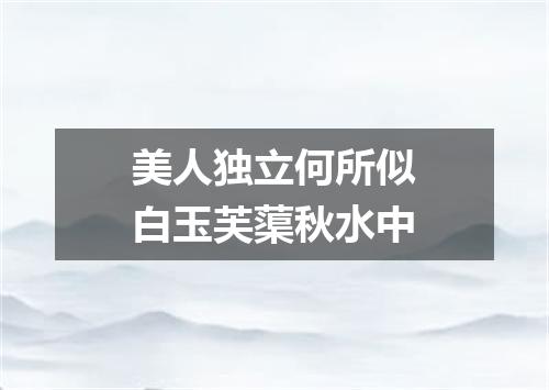 美人独立何所似白玉芙蕖秋水中