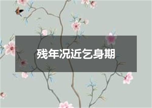 残年况近乞身期