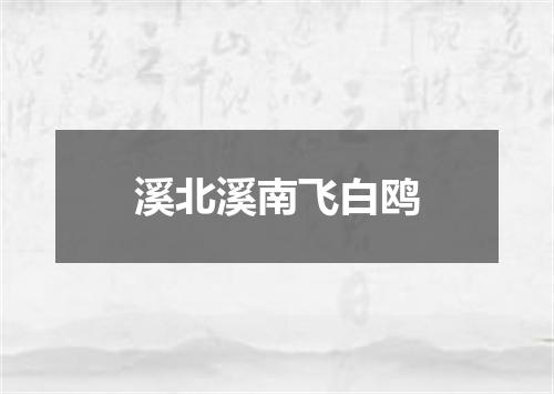溪北溪南飞白鸥