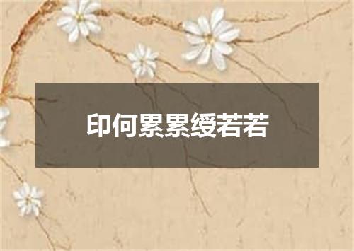 印何累累绶若若