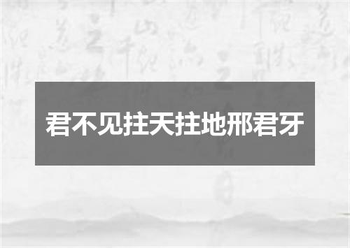 君不见拄天拄地邢君牙