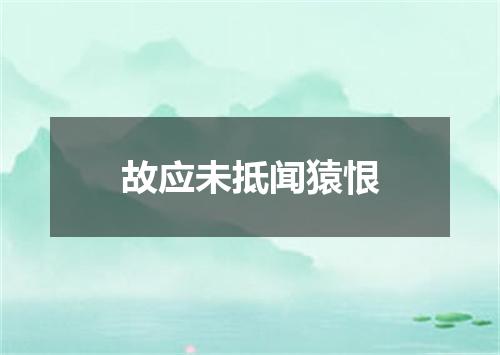 故应未抵闻猿恨