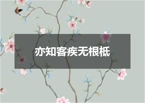 亦知客疾无根柢