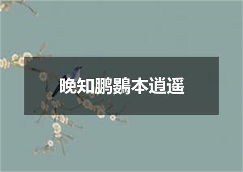 晚知鹏鷃本逍遥
