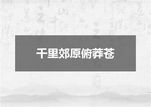 千里郊原俯莽苍