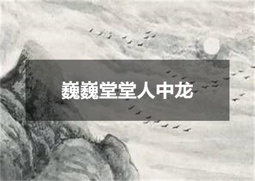 巍巍堂堂人中龙