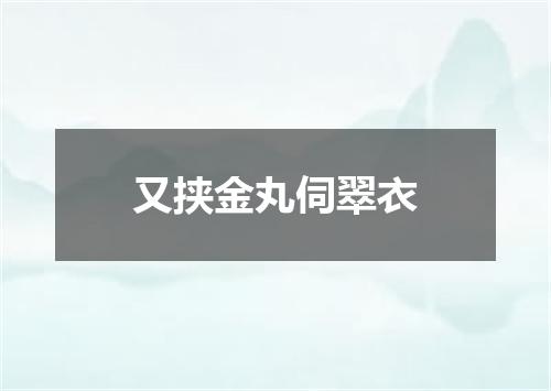 又挟金丸伺翠衣