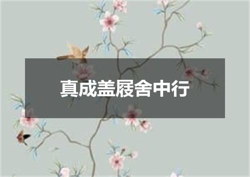 真成盖屐舍中行