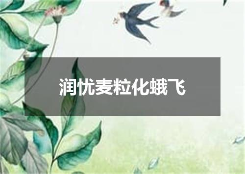 润忧麦粒化蛾飞