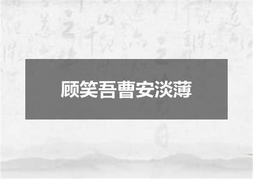顾笑吾曹安淡薄