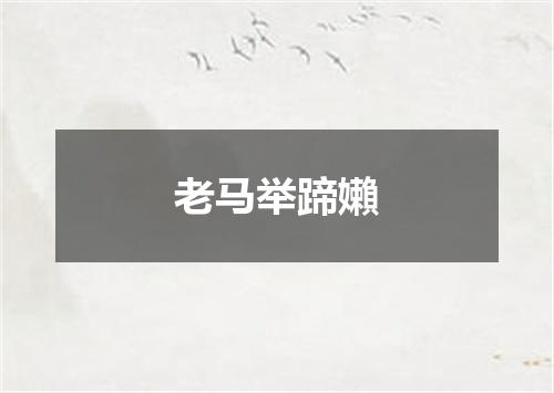 老马举蹄嬾